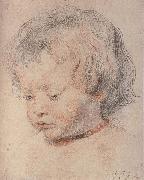 Peter Paul Rubens, Rubens-s son